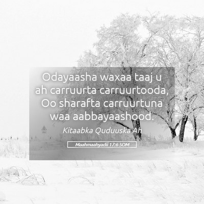 Picture 05 - Maahmaahyadii 17:6 SOM - Odayaasha waxaa taaj u ah carruurta carruurtooda, - Bible Verse Picture