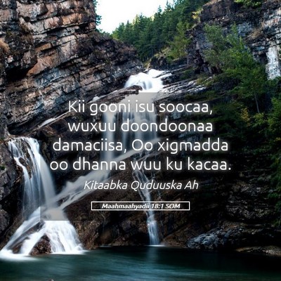 Picture 05 - Maahmaahyadii 18:1 SOM - Kii gooni isu soocaa, wuxuu doondoonaa damaciisa, - Bible Verse Picture