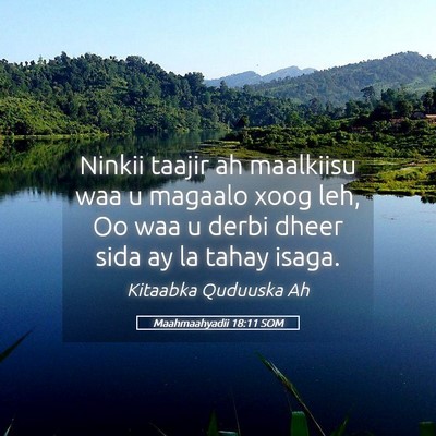 Picture 05 - Maahmaahyadii 18:11 SOM - Ninkii taajir ah maalkiisu waa u magaalo xoog - Bible Verse Picture