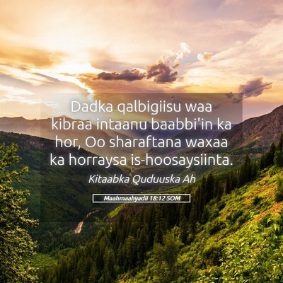 Picture 05 - Maahmaahyadii 18:12 SOM - Dadka qalbigiisu waa kibraa intaanu baabbi'in ka - Bible Verse Picture