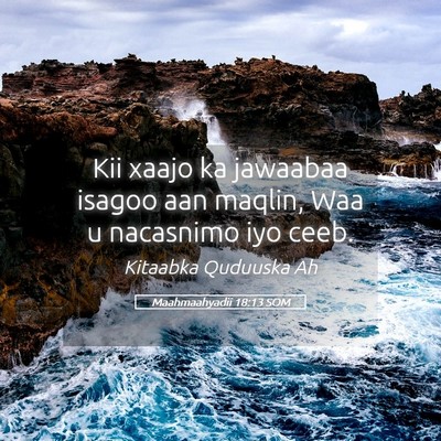 Picture 05 - Maahmaahyadii 18:13 SOM - Kii xaajo ka jawaabaa isagoo aan maqlin, Waa u - Bible Verse Picture