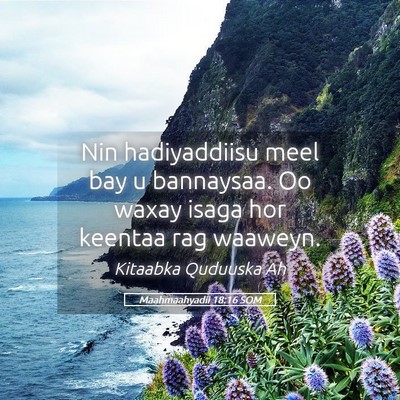 Picture 05 - Maahmaahyadii 18:16 SOM - Nin hadiyaddiisu meel bay u bannaysaa. Oo waxay - Bible Verse Picture
