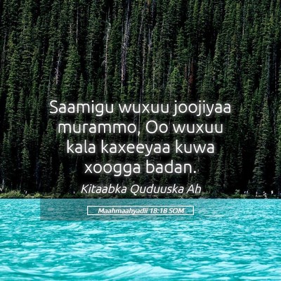 Picture 05 - Maahmaahyadii 18:18 SOM - Saamigu wuxuu joojiyaa murammo, Oo wuxuu kala - Bible Verse Picture