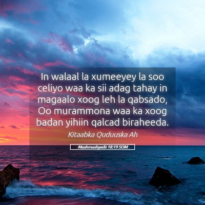 Picture 05 - Maahmaahyadii 18:19 SOM - In walaal la xumeeyey la soo celiyo waa ka sii - Bible Verse Picture