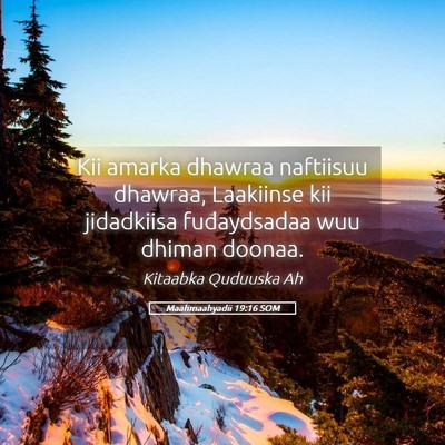 Picture 05 - Maahmaahyadii 19:16 SOM - Kii amarka dhawraa naftiisuu dhawraa, Laakiinse - Bible Verse Picture