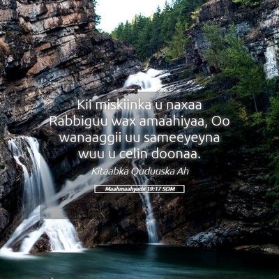 Picture 05 - Maahmaahyadii 19:17 SOM - Kii miskiinka u naxaa Rabbiguu wax amaahiyaa, Oo - Bible Verse Picture