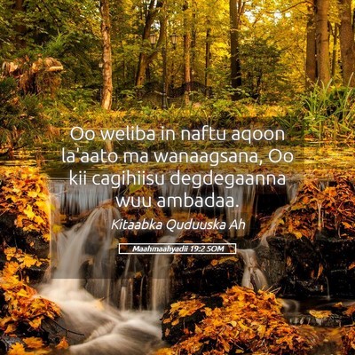 Picture 05 - Maahmaahyadii 19:2 SOM - Oo weliba in naftu aqoon la'aato ma wanaagsana, - Bible Verse Picture