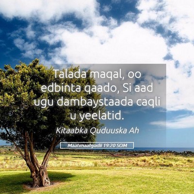Picture 05 - Maahmaahyadii 19:20 SOM - Talada maqal, oo edbinta qaado, Si aad ugu - Bible Verse Picture