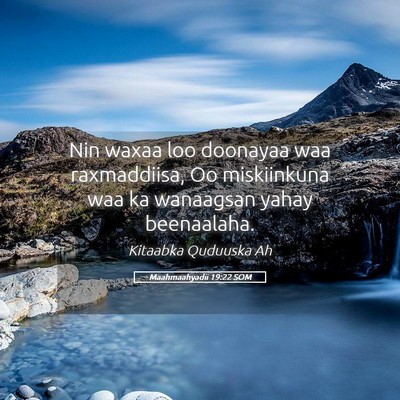 Picture 05 - Maahmaahyadii 19:22 SOM - Nin waxaa loo doonayaa waa raxmaddiisa, Oo - Bible Verse Picture