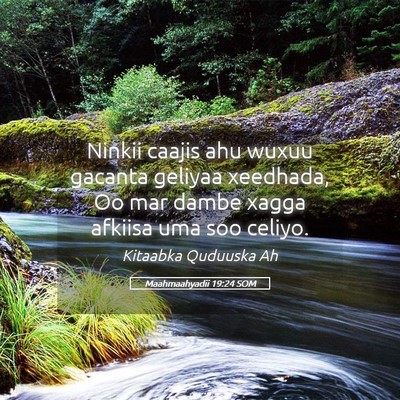 Picture 05 - Maahmaahyadii 19:24 SOM - Ninkii caajis ahu wuxuu gacanta geliyaa xeedhada, - Bible Verse Picture