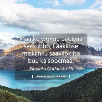 Picture 05 - Maahmaahyadii 19:4 SOM - Maalku wuxuu badiyaa saaxiibbo, Laakiinse - Bible Verse Picture