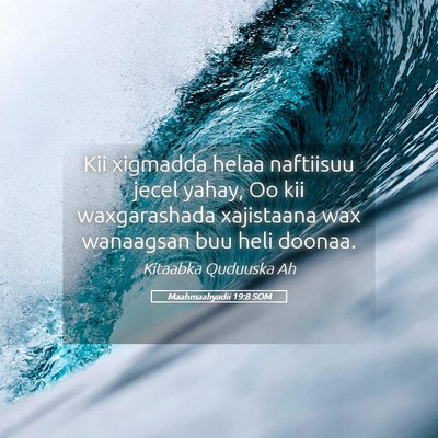 Picture 05 - Maahmaahyadii 19:8 SOM - Kii xigmadda helaa naftiisuu jecel yahay, Oo kii - Bible Verse Picture
