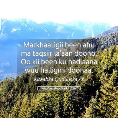 Picture 05 - Maahmaahyadii 19:9 SOM - Markhaatigii been ahu ma taqsiir la'aan doono, Oo - Bible Verse Picture