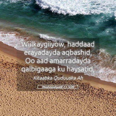 Picture 05 - Maahmaahyadii 2:1 SOM - Wiilkaygiiyow, haddaad erayadayda aqbashid, Oo - Bible Verse Picture