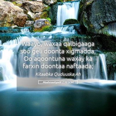 Picture 05 - Maahmaahyadii 2:10 SOM - Waayo, waxaa qalbigaaga soo geli doonta xigmadda, - Bible Verse Picture