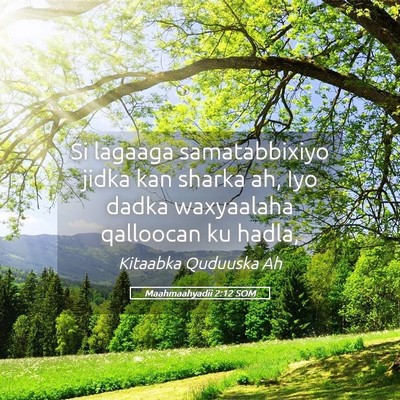 Picture 05 - Maahmaahyadii 2:12 SOM - Si lagaaga samatabbixiyo jidka kan sharka ah, Iyo - Bible Verse Picture
