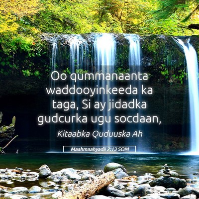 Picture 05 - Maahmaahyadii 2:13 SOM - Oo qummanaanta waddooyinkeeda ka taga, Si ay - Bible Verse Picture