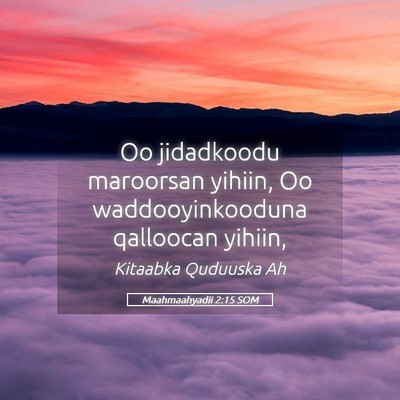 Picture 05 - Maahmaahyadii 2:15 SOM - Oo jidadkoodu maroorsan yihiin, Oo - Bible Verse Picture