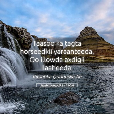 Picture 05 - Maahmaahyadii 2:17 SOM - Taasoo ka tagta horseedkii yaraanteeda, Oo - Bible Verse Picture
