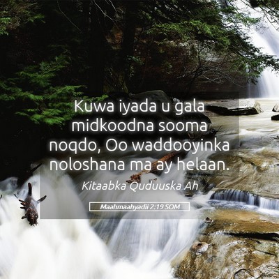 Picture 05 - Maahmaahyadii 2:19 SOM - Kuwa iyada u gala midkoodna sooma noqdo, Oo - Bible Verse Picture