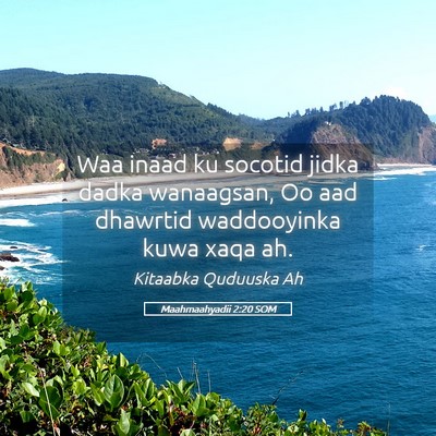 Picture 05 - Maahmaahyadii 2:20 SOM - Waa inaad ku socotid jidka dadka wanaagsan, Oo - Bible Verse Picture