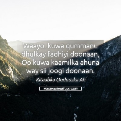 Picture 05 - Maahmaahyadii 2:21 SOM - Waayo, kuwa qummanu dhulkay fadhiyi doonaan, Oo - Bible Verse Picture