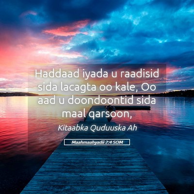 Picture 05 - Maahmaahyadii 2:4 SOM - Haddaad iyada u raadisid sida lacagta oo kale, Oo - Bible Verse Picture