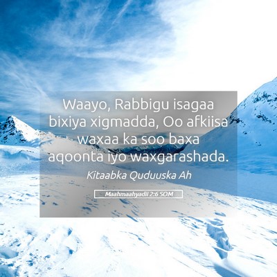 Picture 05 - Maahmaahyadii 2:6 SOM - Waayo, Rabbigu isagaa bixiya xigmadda, Oo afkiisa - Bible Verse Picture