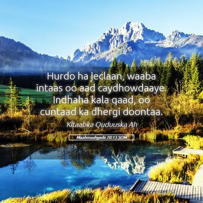 Picture 05 - Maahmaahyadii 20:13 SOM - Hurdo ha jeclaan, waaba intaas oo aad - Bible Verse Picture