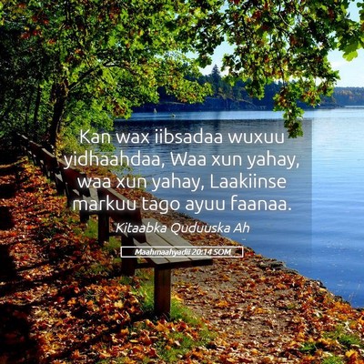Picture 05 - Maahmaahyadii 20:14 SOM - Kan wax iibsadaa wuxuu yidhaahdaa, Waa xun yahay, - Bible Verse Picture