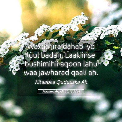 Picture 05 - Maahmaahyadii 20:15 SOM - Waxaa jira dahab iyo luul badan, Laakiinse - Bible Verse Picture