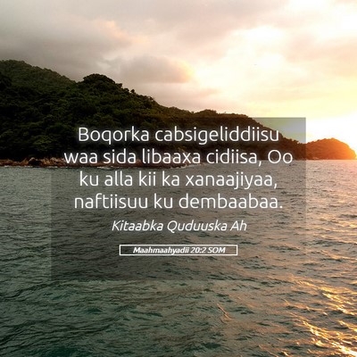 Picture 05 - Maahmaahyadii 20:2 SOM - Boqorka cabsigeliddiisu waa sida libaaxa cidiisa, - Bible Verse Picture
