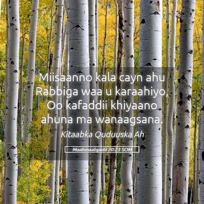 Picture 05 - Maahmaahyadii 20:23 SOM - Miisaanno kala cayn ahu Rabbiga waa u karaahiyo, - Bible Verse Picture