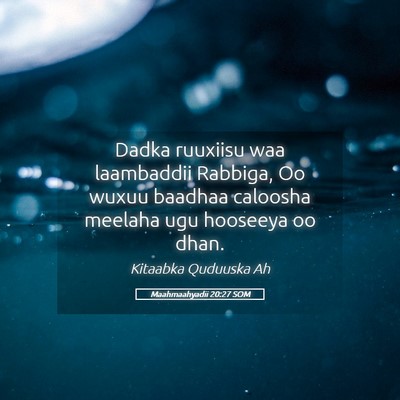 Picture 05 - Maahmaahyadii 20:27 SOM - Dadka ruuxiisu waa laambaddii Rabbiga, Oo wuxuu - Bible Verse Picture