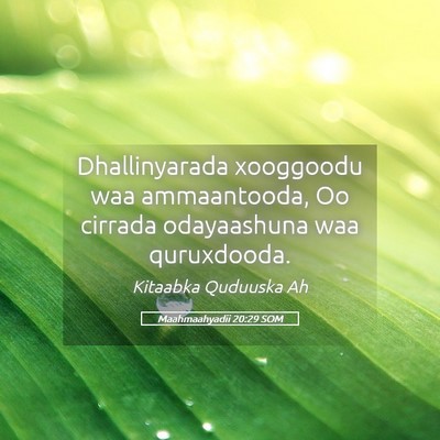 Picture 05 - Maahmaahyadii 20:29 SOM - Dhallinyarada xooggoodu waa ammaantooda, Oo - Bible Verse Picture