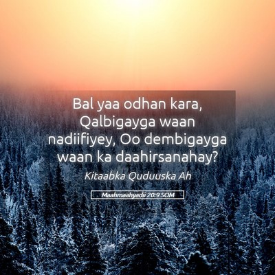 Picture 05 - Maahmaahyadii 20:9 SOM - Bal yaa odhan kara, Qalbigayga waan nadiifiyey, - Bible Verse Picture
