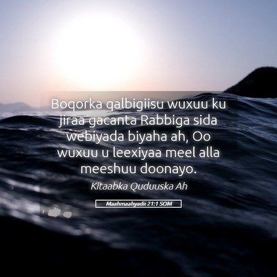 Picture 05 - Maahmaahyadii 21:1 SOM - Boqorka qalbigiisu wuxuu ku jiraa gacanta Rabbiga - Bible Verse Picture