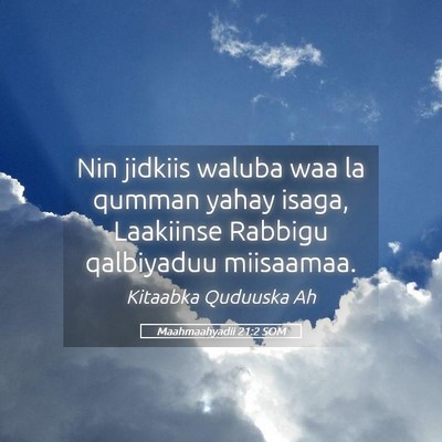 Picture 05 - Maahmaahyadii 21:2 SOM - Nin jidkiis waluba waa la qumman yahay isaga, - Bible Verse Picture