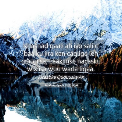 Picture 05 - Maahmaahyadii 21:20 SOM - Khasnad qaali ah iyo saliid baa ku jira kan - Bible Verse Picture