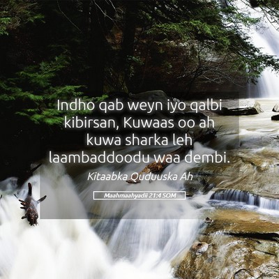 Picture 05 - Maahmaahyadii 21:4 SOM - Indho qab weyn iyo qalbi kibirsan, Kuwaas oo ah - Bible Verse Picture
