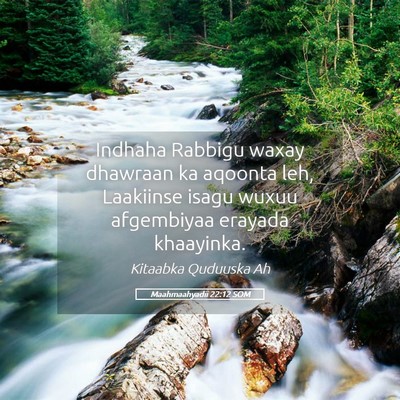 Picture 05 - Maahmaahyadii 22:12 SOM - Indhaha Rabbigu waxay dhawraan ka aqoonta leh, - Bible Verse Picture