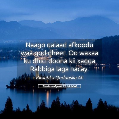 Picture 05 - Maahmaahyadii 22:14 SOM - Naago qalaad afkoodu waa god dheer, Oo waxaa ku - Bible Verse Picture