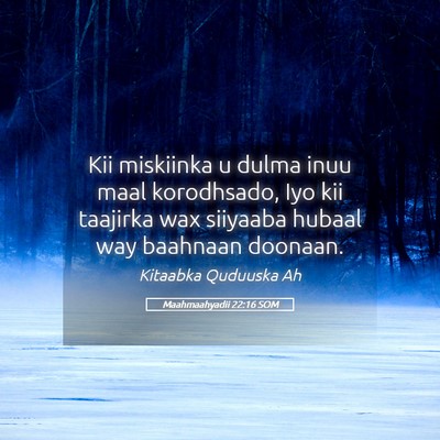 Picture 05 - Maahmaahyadii 22:16 SOM - Kii miskiinka u dulma inuu maal korodhsado, Iyo - Bible Verse Picture