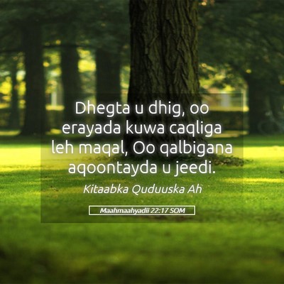 Picture 05 - Maahmaahyadii 22:17 SOM - Dhegta u dhig, oo erayada kuwa caqliga leh maqal, - Bible Verse Picture