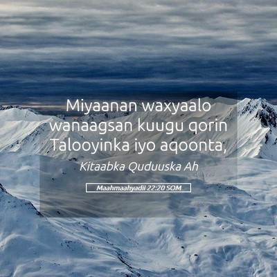 Picture 05 - Maahmaahyadii 22:20 SOM - Miyaanan waxyaalo wanaagsan kuugu qorin - Bible Verse Picture