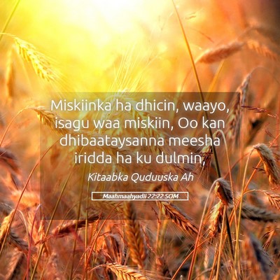 Picture 05 - Maahmaahyadii 22:22 SOM - Miskiinka ha dhicin, waayo, isagu waa miskiin, Oo - Bible Verse Picture