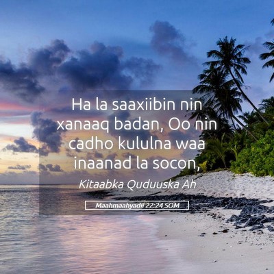 Picture 05 - Maahmaahyadii 22:24 SOM - Ha la saaxiibin nin xanaaq badan, Oo nin cadho - Bible Verse Picture