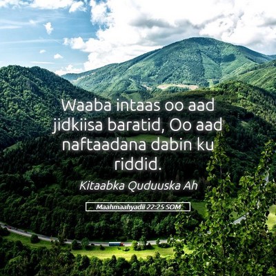 Picture 05 - Maahmaahyadii 22:25 SOM - Waaba intaas oo aad jidkiisa baratid, Oo aad - Bible Verse Picture