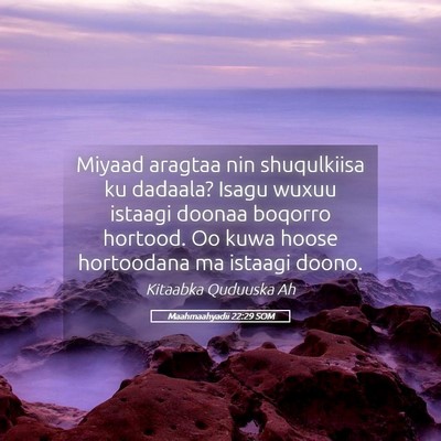 Picture 05 - Maahmaahyadii 22:29 SOM - Miyaad aragtaa nin shuqulkiisa ku dadaala? Isagu - Bible Verse Picture