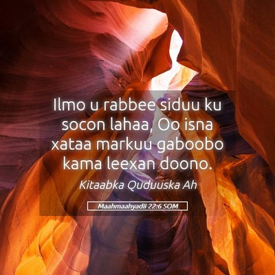 Picture 05 - Maahmaahyadii 22:6 SOM - Ilmo u rabbee siduu ku socon lahaa, Oo isna xataa - Bible Verse Picture